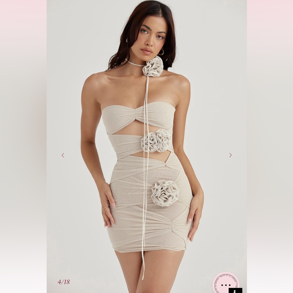 CATERINA Fog Floral Embellished Mini Dress
